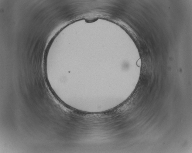 X0000067830902200605111614