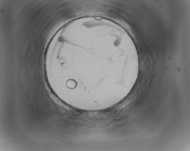 X0000067830903200605111614