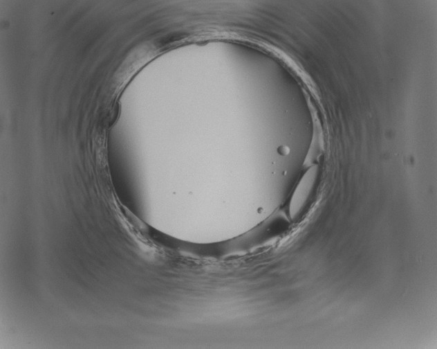 X0000067830905200605111614