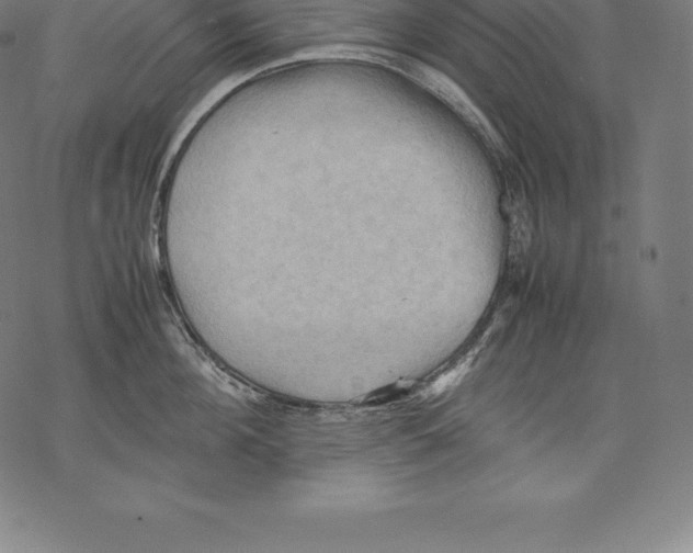 X0000067830908200605111614