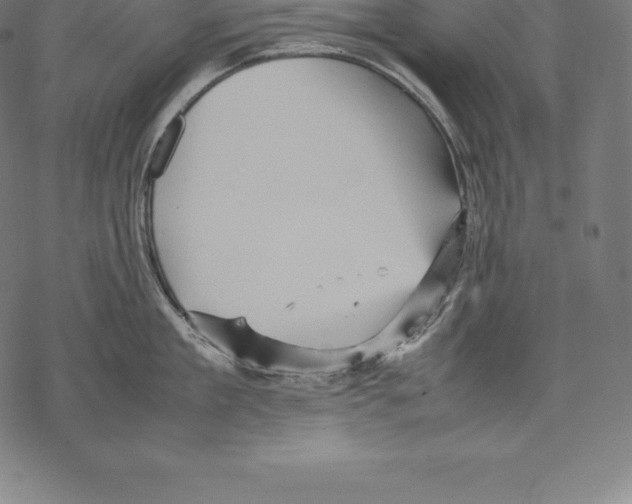 X0000067830909200605111614