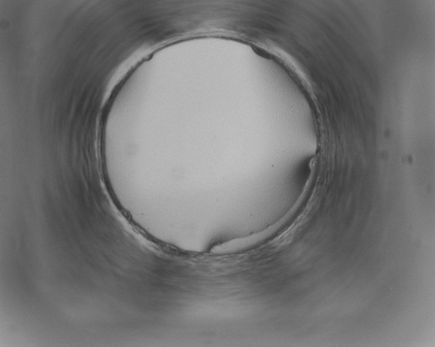 X0000067830910200605111614