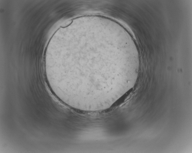 X0000067830911200605111614