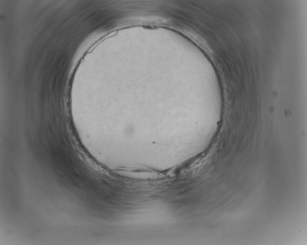 X0000067830912200605111614