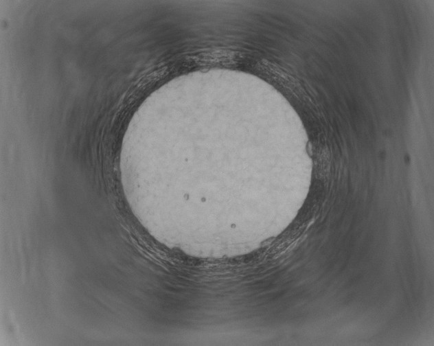 X0000067830913200605111613