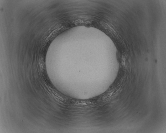 X0000067830915200605111613