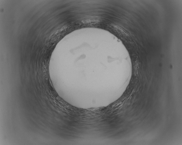 X0000067830917200605111613