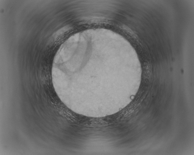 X0000067830918200605111613