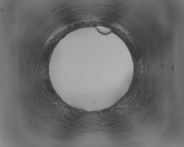 X0000067830919200605111613