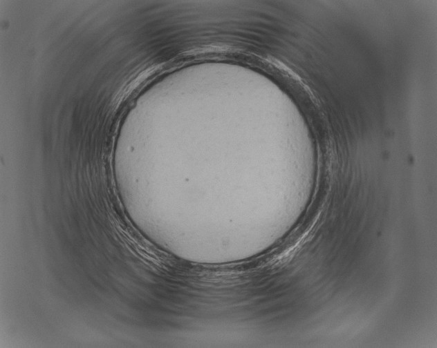 X0000067830921200605111613