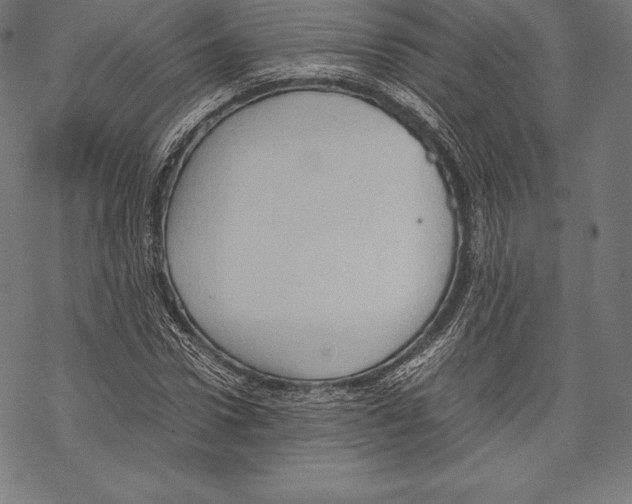 X0000067830922200605111613