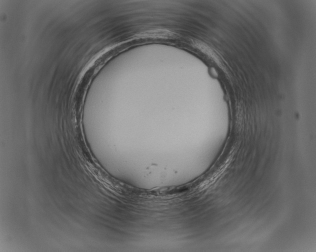 X0000067830923200605111613