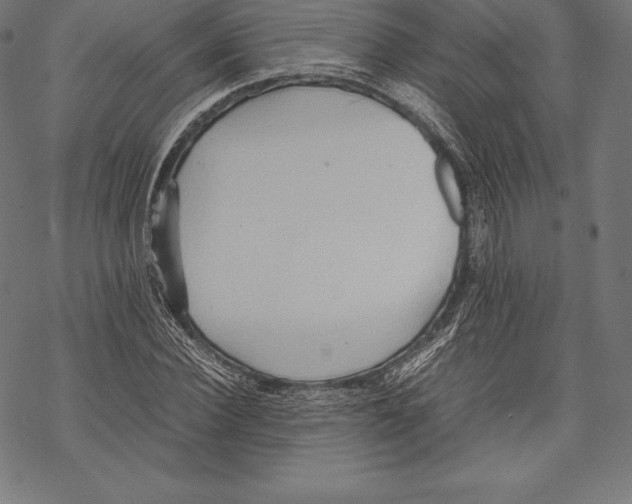 X0000067830924200605111613