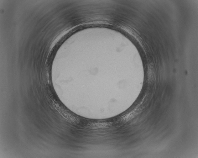 X0000067830925200605111613