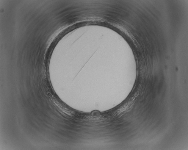 X0000067830927200605111613