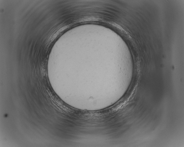 X0000067830929200605111613