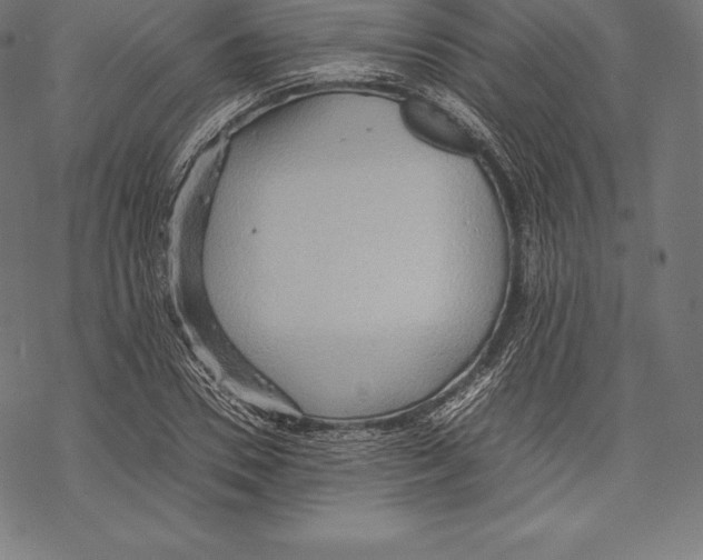 X0000067830930200605111613