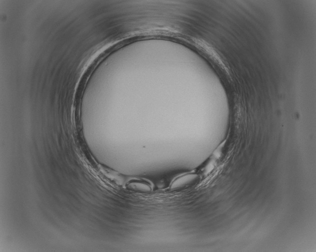 X0000067830932200605111613