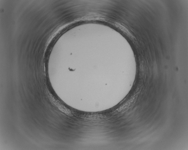 X0000067830934200605111613