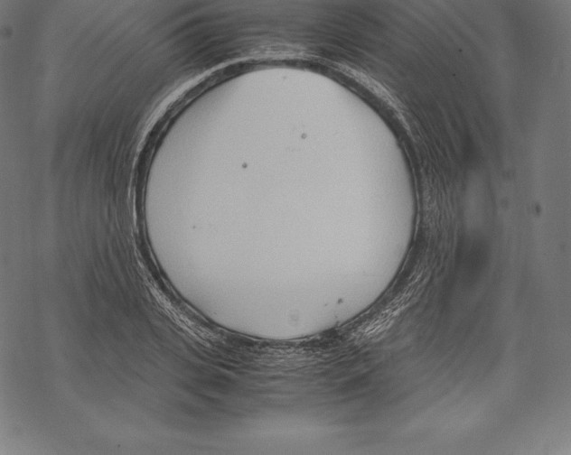 X0000067830935200605111613