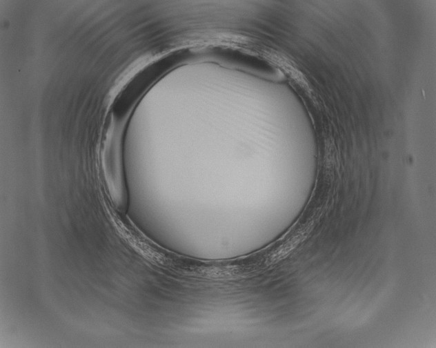 X0000067830936200605111613