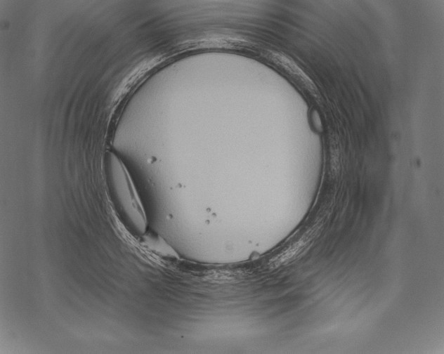 X0000067830938200605111613