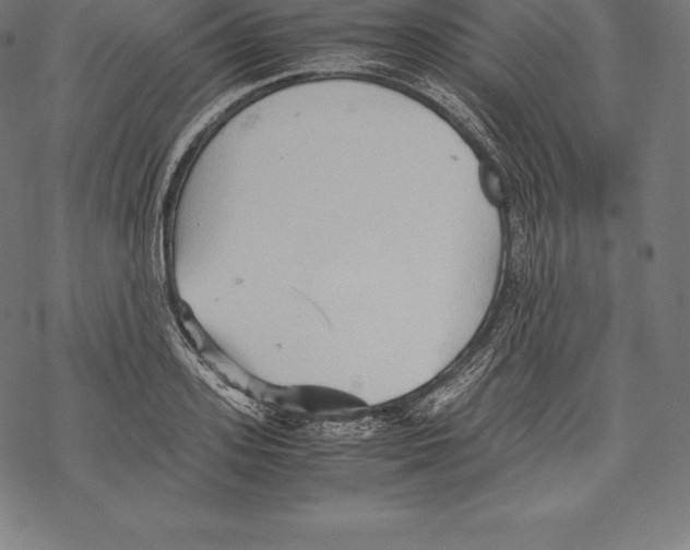 X0000067830939200605111613