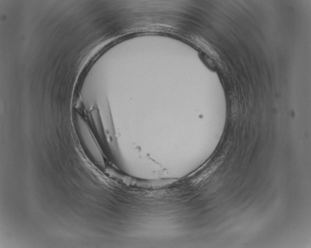 X0000067830940200605111613