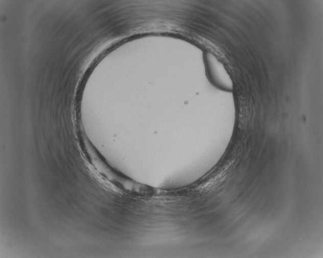 X0000067830942200605111613