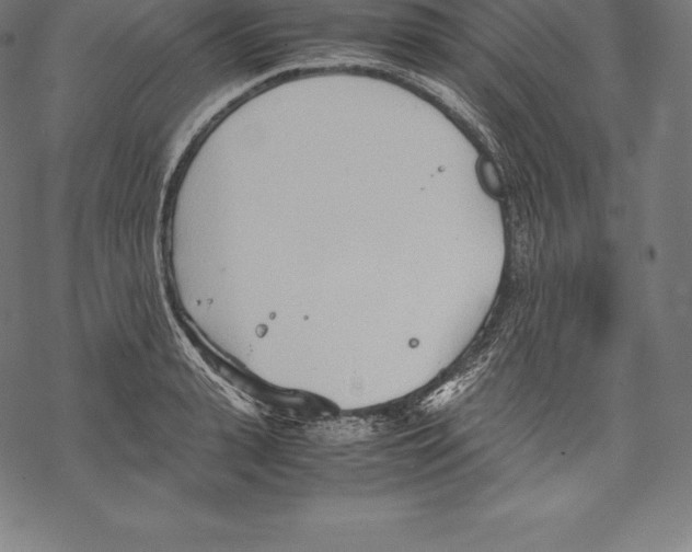 X0000067830943200605111613