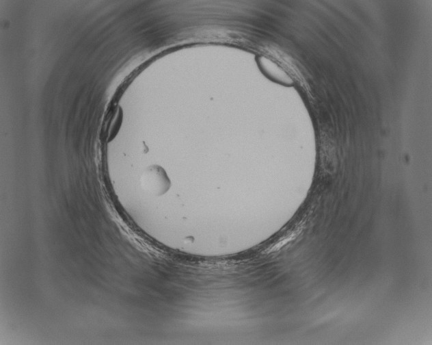 X0000067830944200605111613