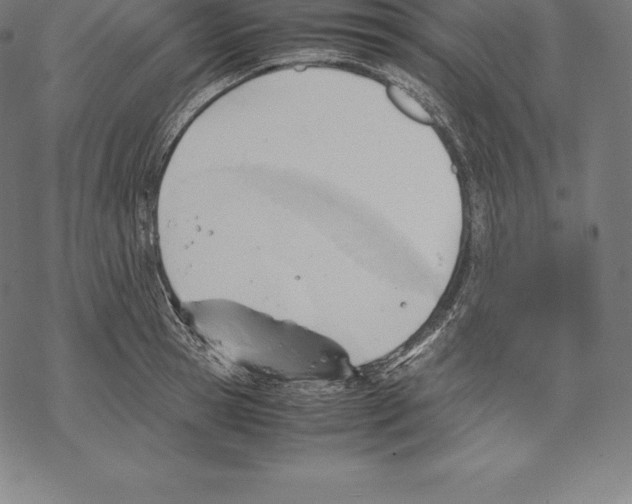 X0000067830945200605111613