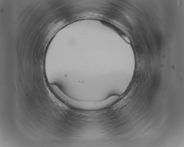 X0000067830946200605111613