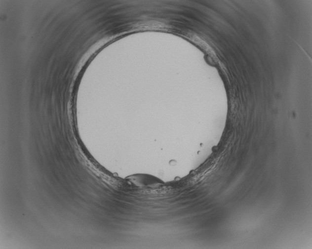 X0000067830947200605111613