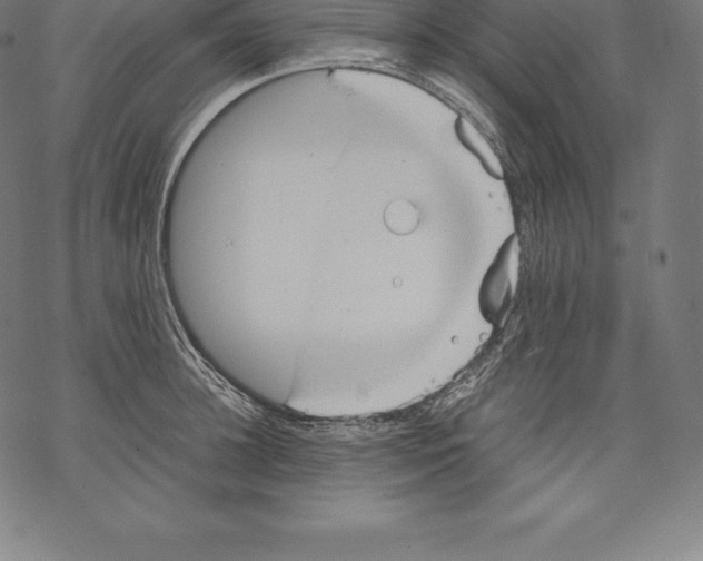 X0000067830948200605111613