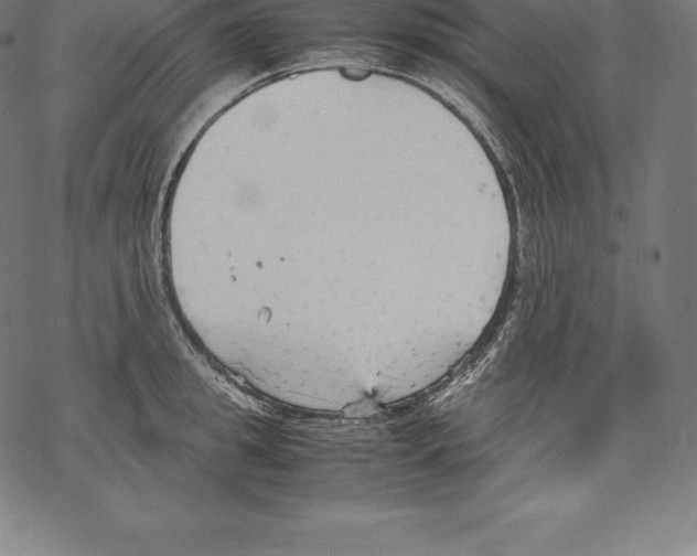 X0000067830949200605111613