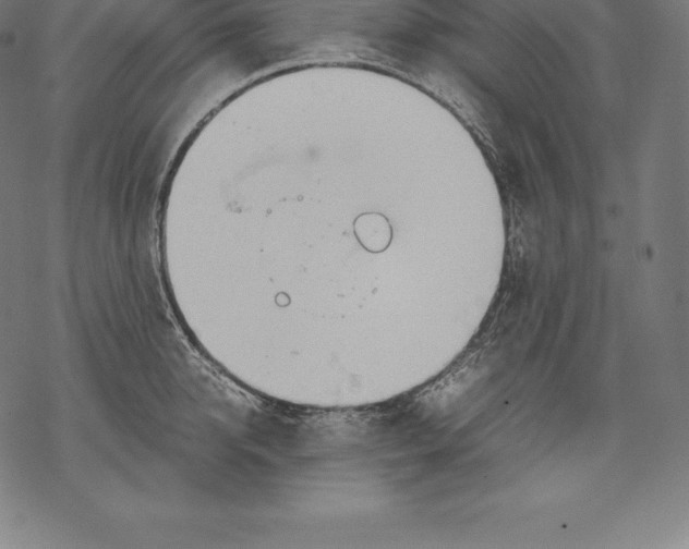 X0000067830950200605111613