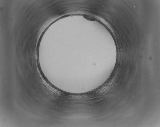 X0000067830951200605111613