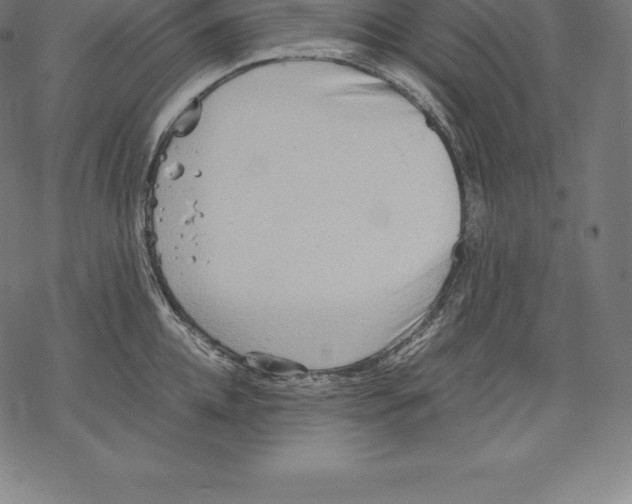 X0000067830952200605111613