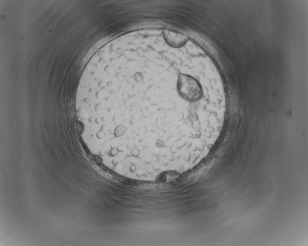 X0000067830953200605111613