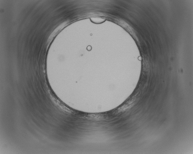 X0000067830954200605111613