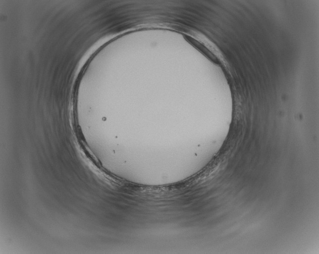 X0000067830955200605111614