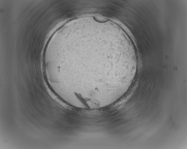 X0000067830957200605111614