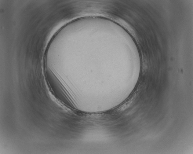 X0000067830958200605111614