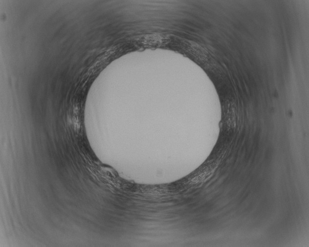 X0000067830962200605111613