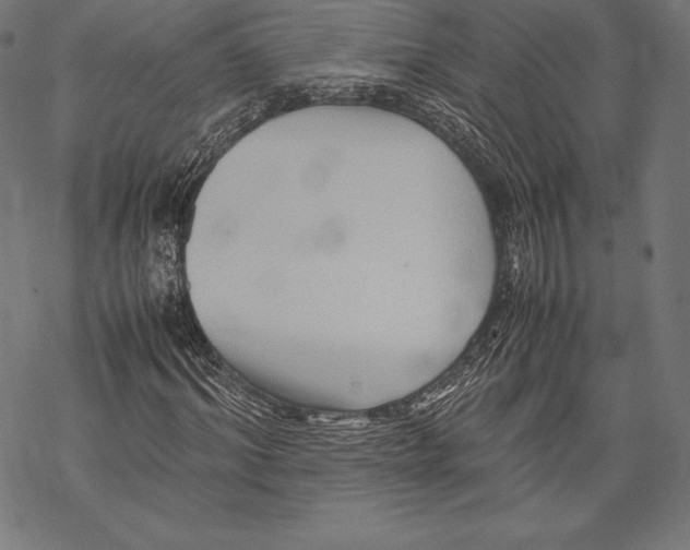 X0000067830964200605111613