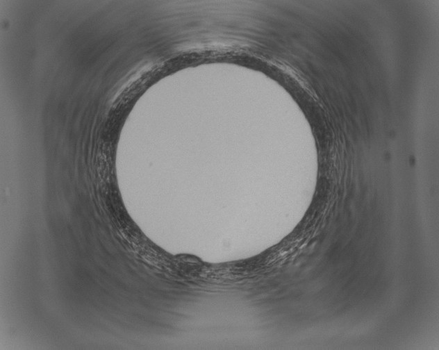 X0000067830967200605111613