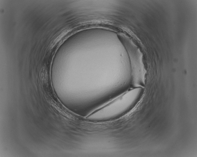 X0000067830969200605111613