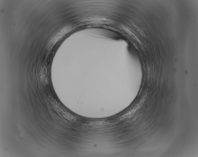 X0000067830970200605111613