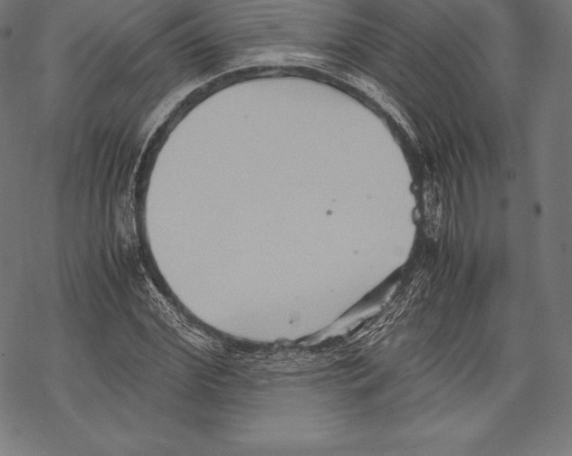 X0000067830972200605111613